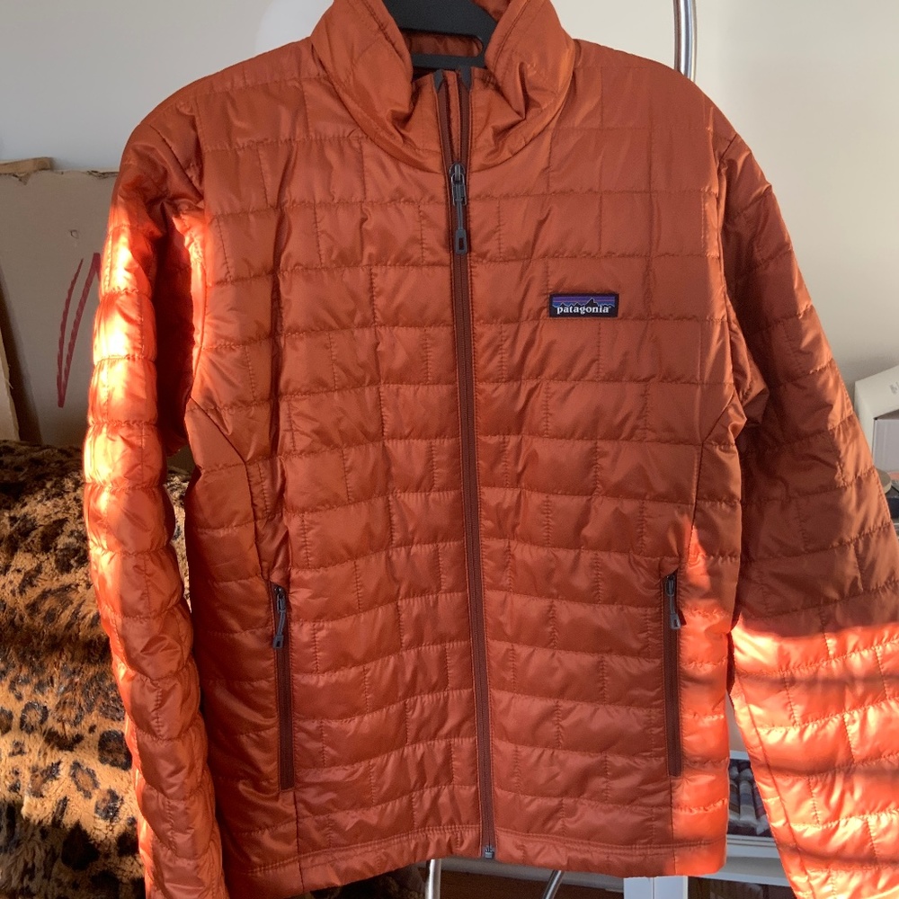 Burnt orange pategonia puffer